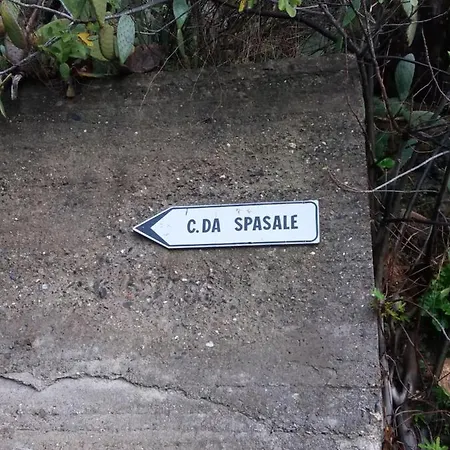 Le Stelle Di Casa Leonardo *